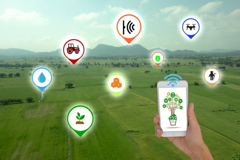 Agriculture Intelligente