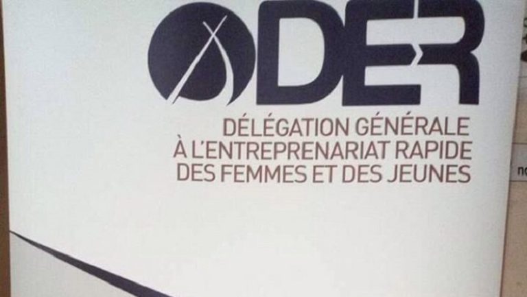 La Délégation à l’entrepreneuriat rapide (Der)