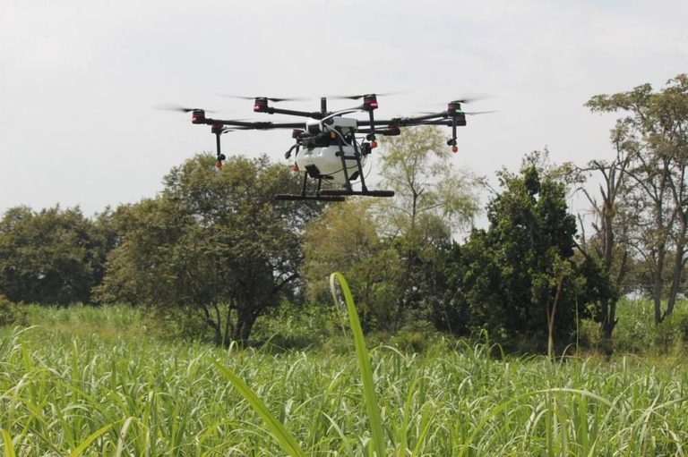 drone pour agriculture cameroun