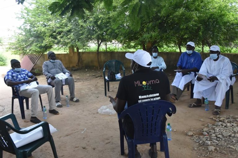 Météo Mbay : Mlouma évalue sa plateforme de collecte et partage de données climatiques