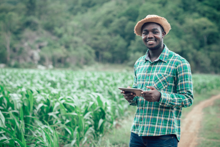 Trade Hub et Locafrique lancent un partenariat de 24 millions de dollars pour accroître l'inclusion financière des agro-industries au Sénégal