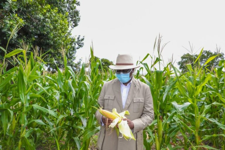 La Bad accorde un prêt de 79 milliards de FCFA au Sénégal pour améliorer la production alimentaire d'urgence