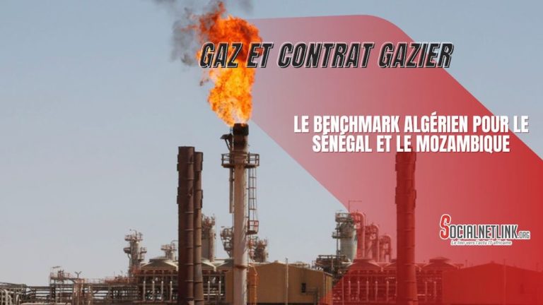 Gaz et Contrat gazier : Le benchmark algérien pour le Sénégal et le Mozambique