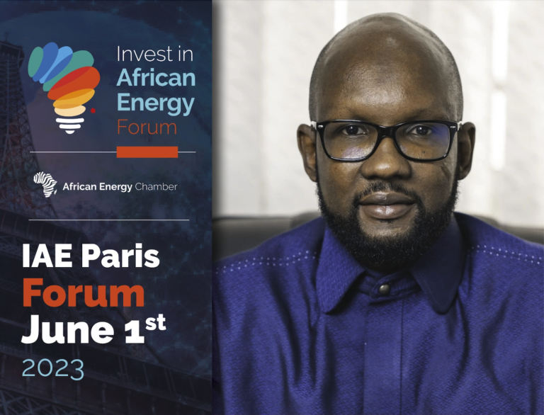 Le directeur de Petrosen Exploration et Production (E&P) interviendra au Forum Investir dans l'énergie en Afrique à Paris