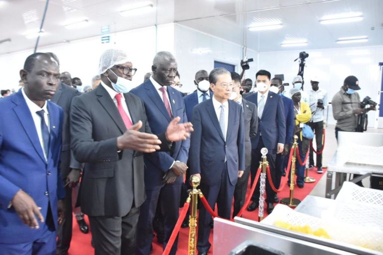 Visite du Parc industriel intégré de Diamniadio (P2ID) par le Président de l’Assemblée nationale du Sénégal et son hôte chinois, le Président Zhao Léji