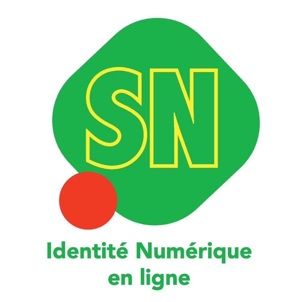 Gestionnaire de nom de domaine.SN